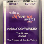 make a difference award