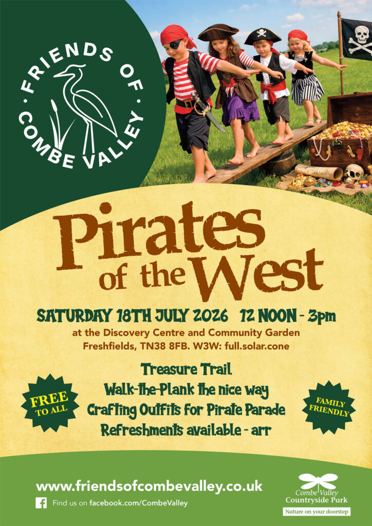 Pirates of the west poster